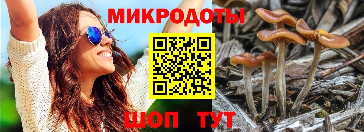 Псилоцибиновые грибы Magic Shrooms Тихвин