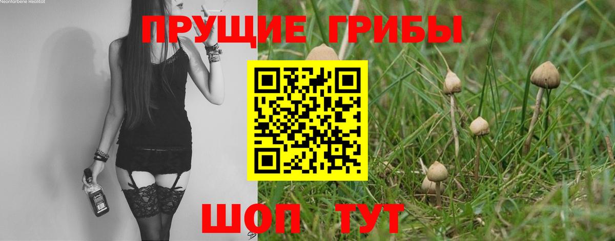 Галлюциногенные грибы Psilocybine cubensis  Галлюциногенные грибы MAGIC MUSHROOMS  Вход с VPN  Тихвин 